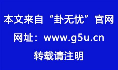 1982 生肖|1982年属什么生肖的命 1982年属狗是什么命